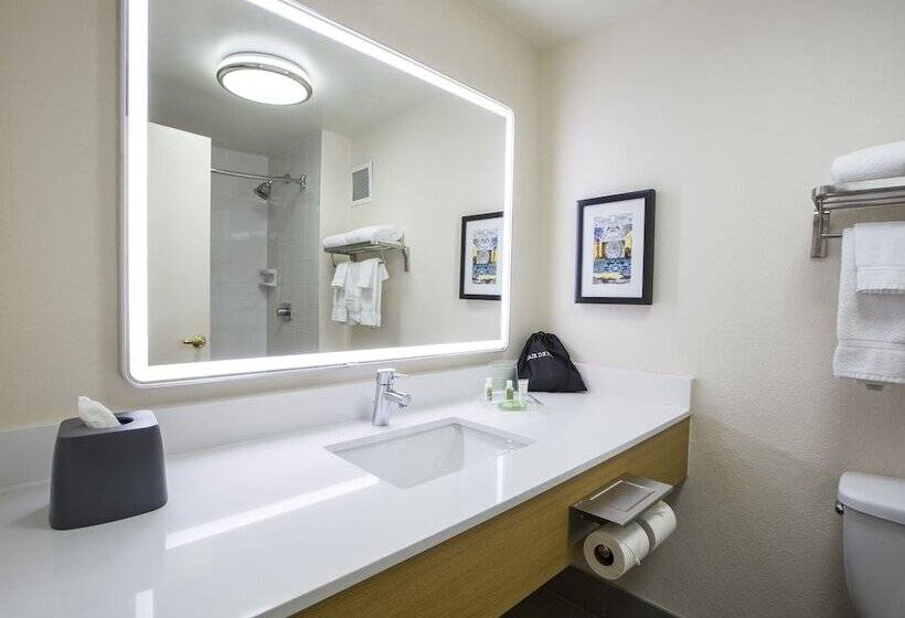 اتاق استاندارد با 2 تخت دوبل, Holiday Inn Chicago North Shore, An Ihg