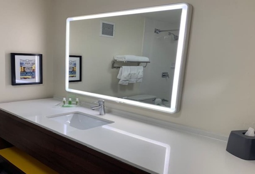 اتاق استاندارد با 2 تخت دوبل, Holiday Inn Chicago North Shore, An Ihg