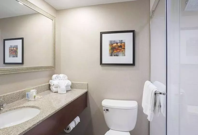Standard-huone 2 Parivuodetta, Holiday Inn Cincinnati Riverfront, An Ihg