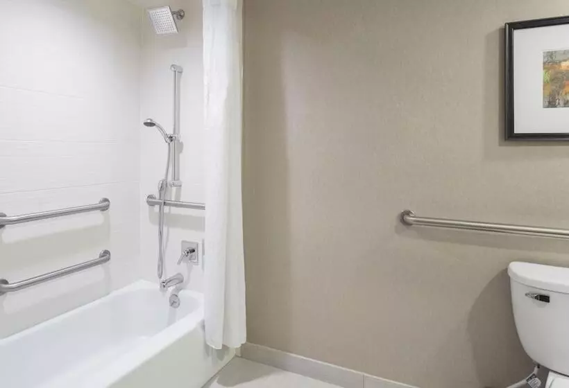 Standard-huone, Holiday Inn Cincinnati Riverfront, An Ihg