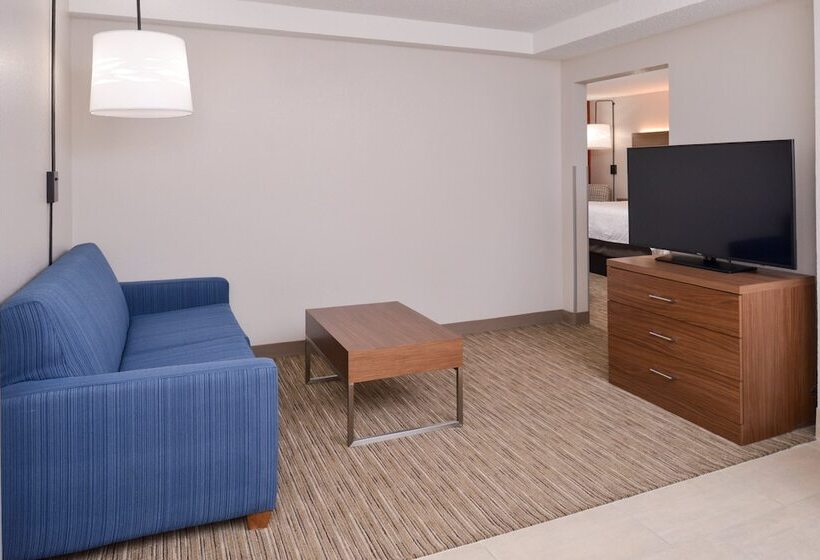 Suite, Holiday Inn Express Towson Baltimore North, An Ihg