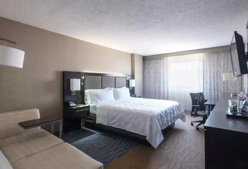 اتاق اجرایی با تخت بزرگ, Holiday Inn Washington Capitol National Mall, An Ihg