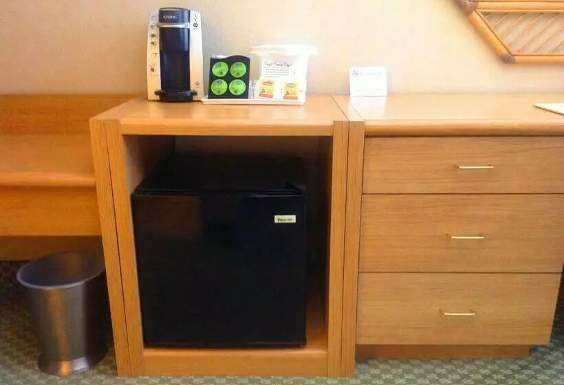 اتاق لوکس با تخت بزرگ, Howard Johnson By Wyndham Anaheim Hotel & Water Playground