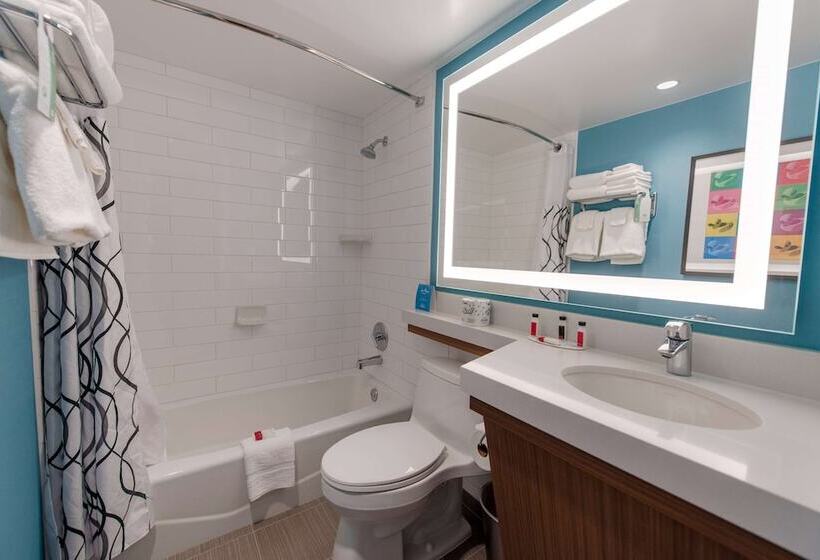 可看到停车场的高级间, Howard Johnson By Wyndham Anaheim Hotel & Water Playground