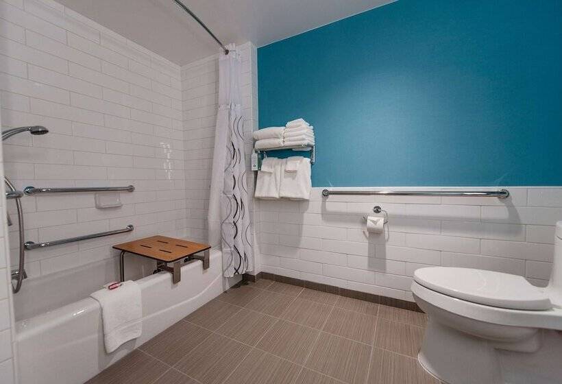 适合残疾人使用的标准间, Howard Johnson By Wyndham Anaheim Hotel & Water Playground