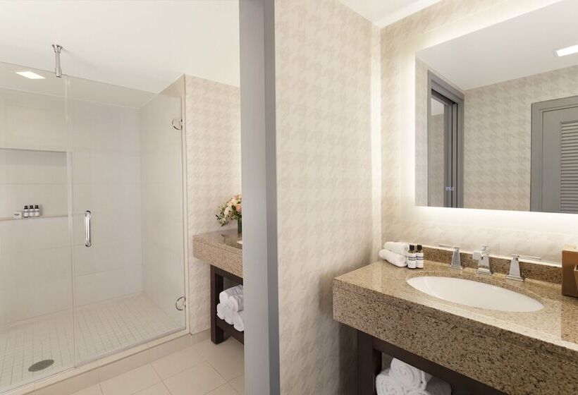 סוויטה, Hyatt Regency Boston/cambridge