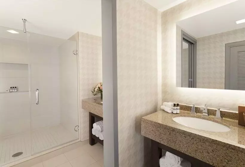 سوییت, Hyatt Regency Boston/cambridge