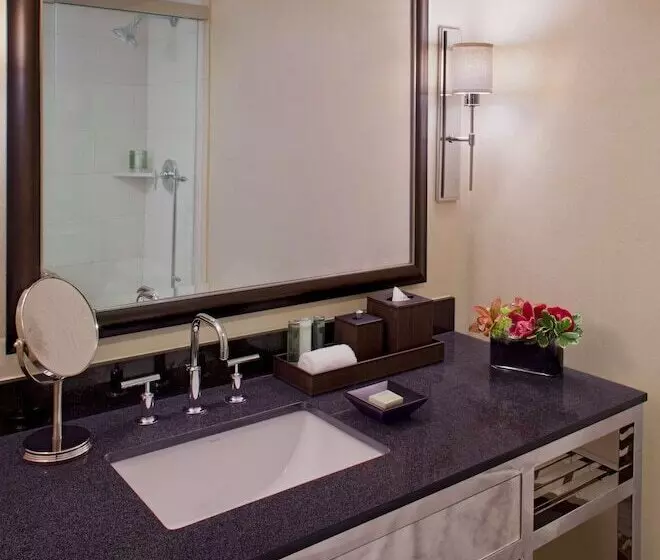 スーペリアースイート, Hyatt Regency New Orleans