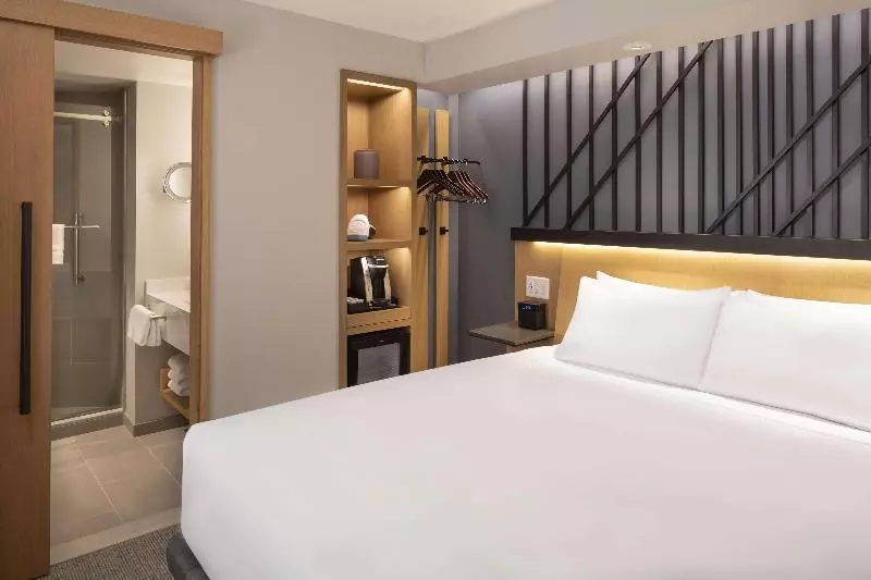 Standard Room King Size Bed