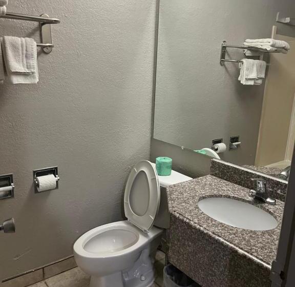 מיטת קינג בסוויטה, Mid Towne Inn & Suites