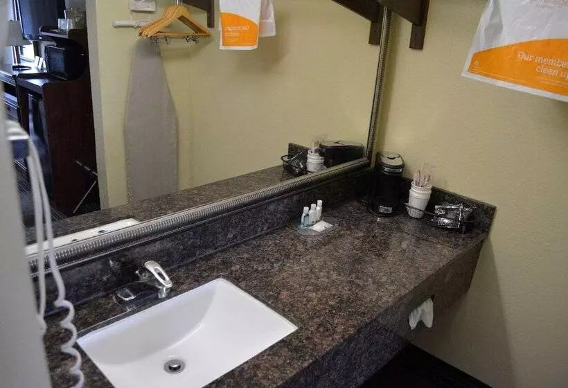Standard-huone 2 Parivuodetta, Quality Inn Midtown