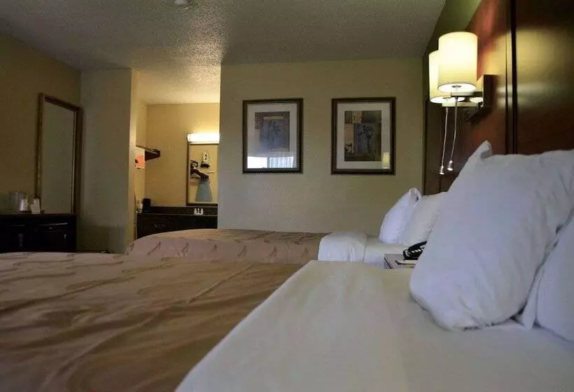 Standard-huone 2 Parivuodetta, Quality Inn Midtown