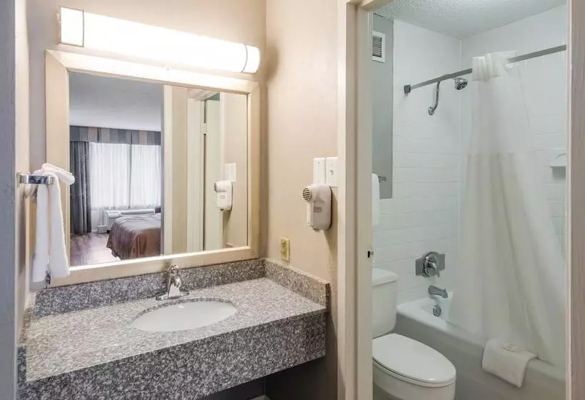 اتاق استاندارد با 2 تخت دوبل, Quality Inn Roanoke Airport