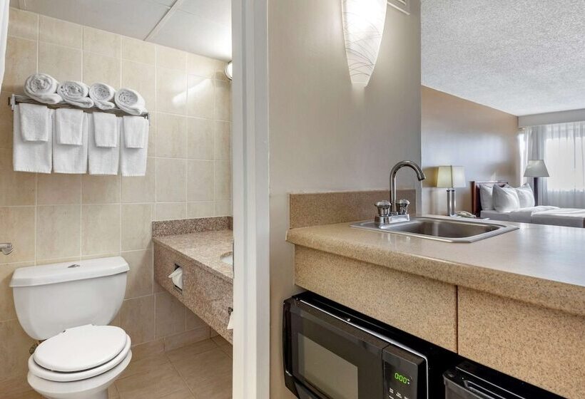 2ダブルベッドのスタンダードルーム, Quality Inn & Suites Vestal Binghamton Near University