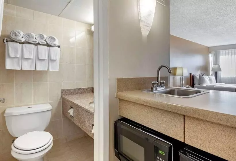 ２ダブルベッドのスタンダードルーム, Quality Inn & Suites Vestal Binghamton Near University