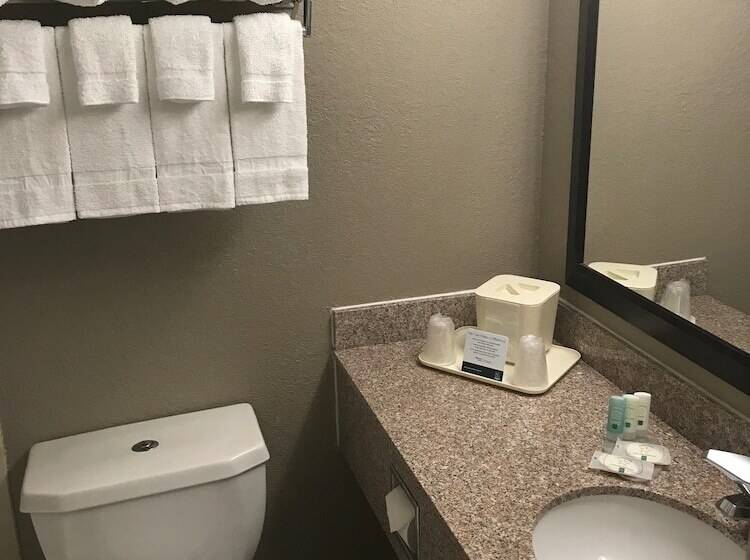 2ダブルベッドのスタンダードルーム, Quality Inn & Suites Vestal Binghamton Near University