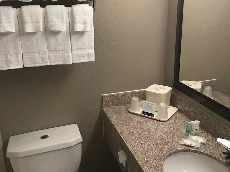 ２ダブルベッドのスタンダードルーム, Quality Inn & Suites Vestal Binghamton Near University