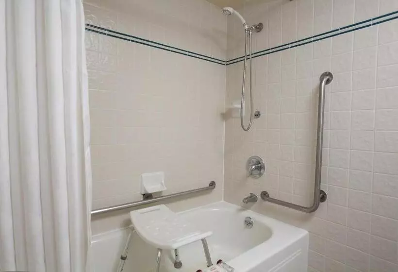 اتاق استاندارد با تخت بزرگ برای معلولان, Ramada By Wyndham Sunnyvale/silicon Valley