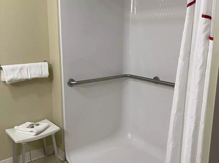 デラックスルーム, Red Roof Inn Baltimore South  Glen Burnie