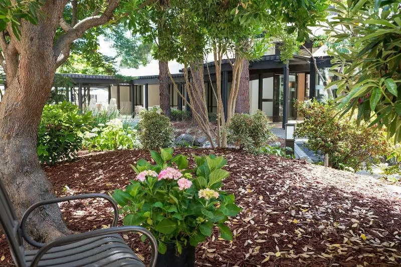 اتاق استاندارد با تخت بزرگ, Sheraton Palo Alto