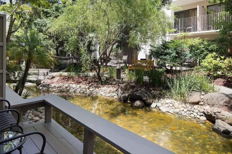 اتاق استاندارد با تخت بزرگ, Sheraton Palo Alto