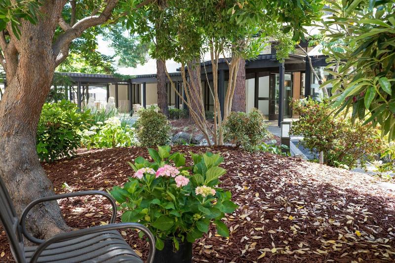 غرفة قياسية سرير كينج, Sheraton Palo Alto