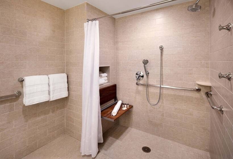 غرفة ديلوكس, Sheraton Palo Alto