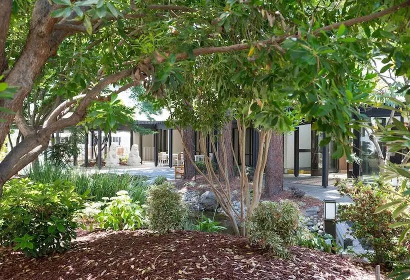 اتاق لوکس, Sheraton Palo Alto