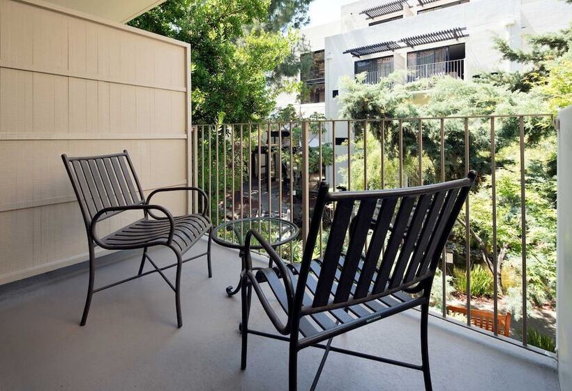 غرفة ديلوكس, Sheraton Palo Alto