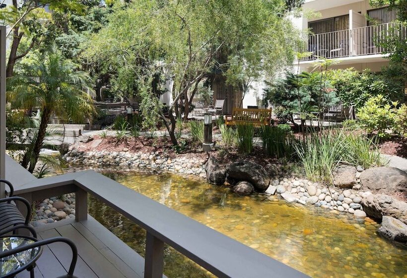 غرفة ديلوكس, Sheraton Palo Alto