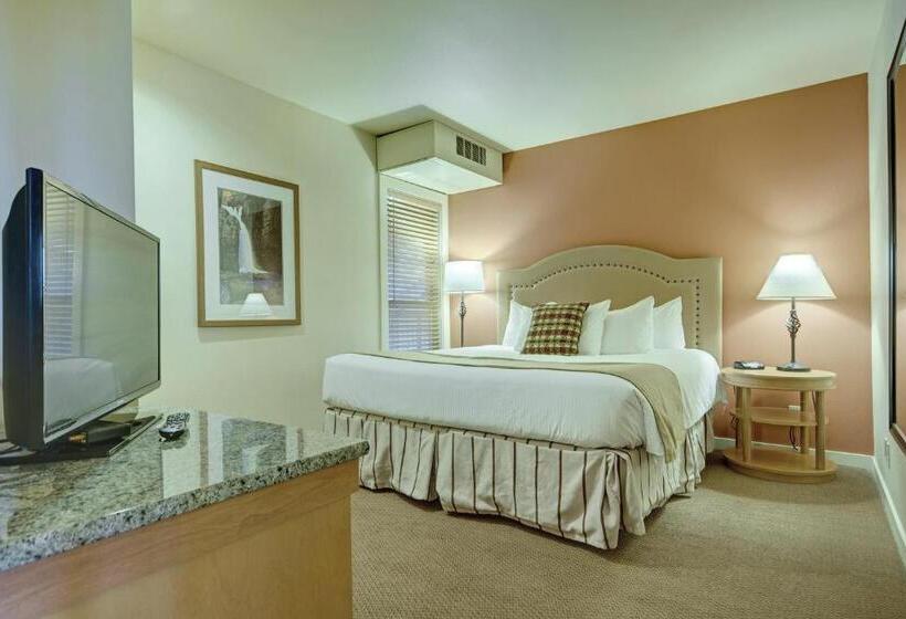 Suite, Seventh Mountain Resort