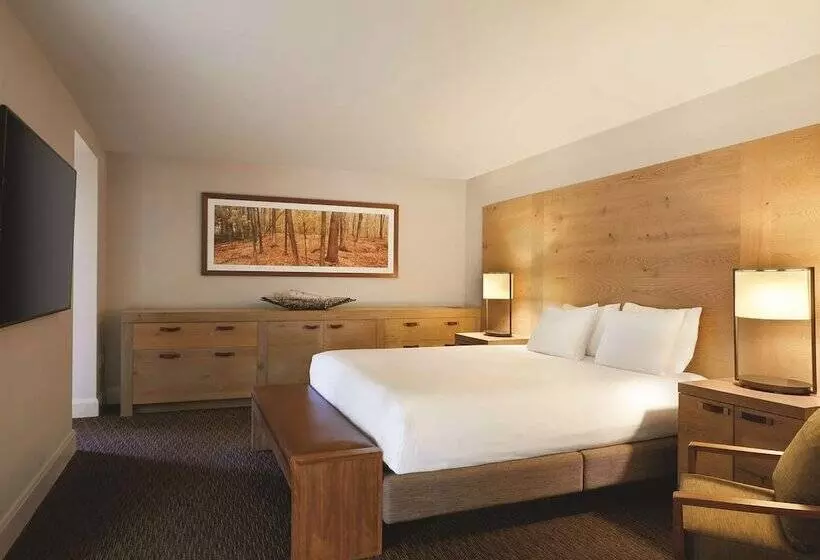スイート, Hyatt Regency Lake Tahoe Resort, Spa & Casino