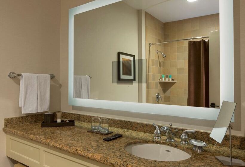 חדר סטנדרט, Hyatt Regency Lake Tahoe Resort, Spa & Casino