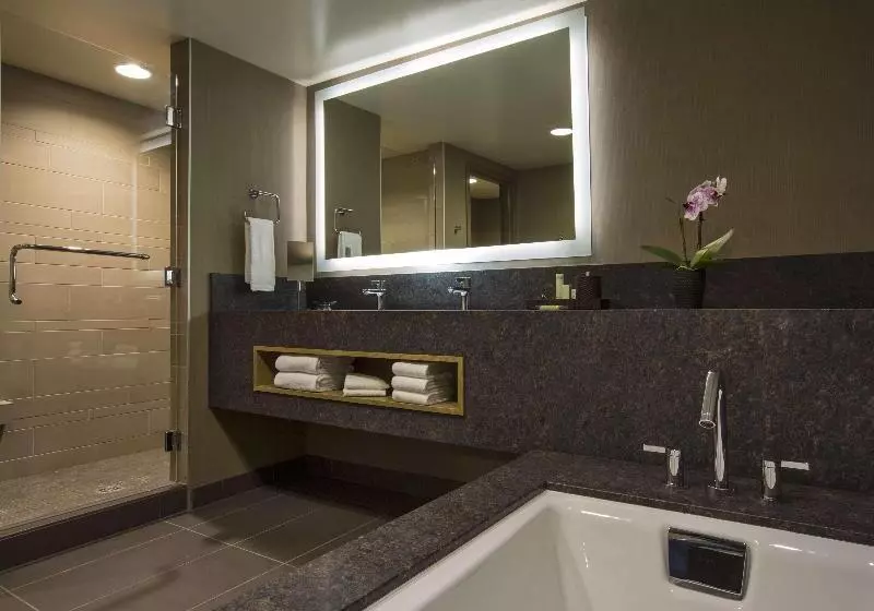 ジュニアスイート, Hyatt Regency Lake Tahoe Resort, Spa & Casino