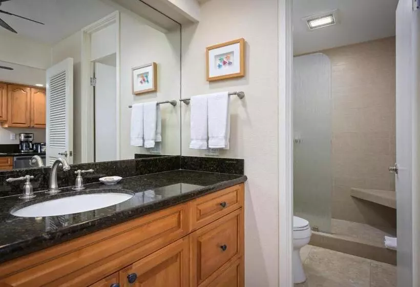 Deluxe-huoneisto 1 Makuuhuone, Aston Maui Kaanapali Villas