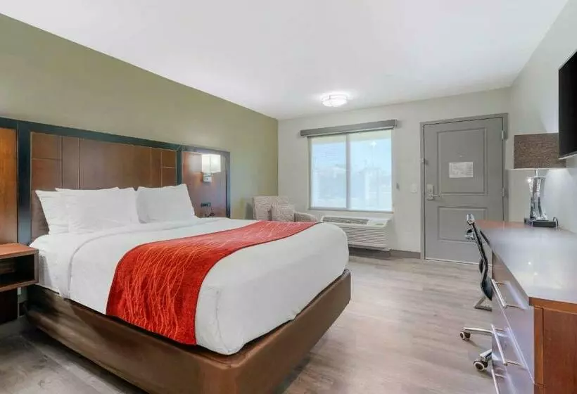 اتاق استاندارد, Comfort Inn