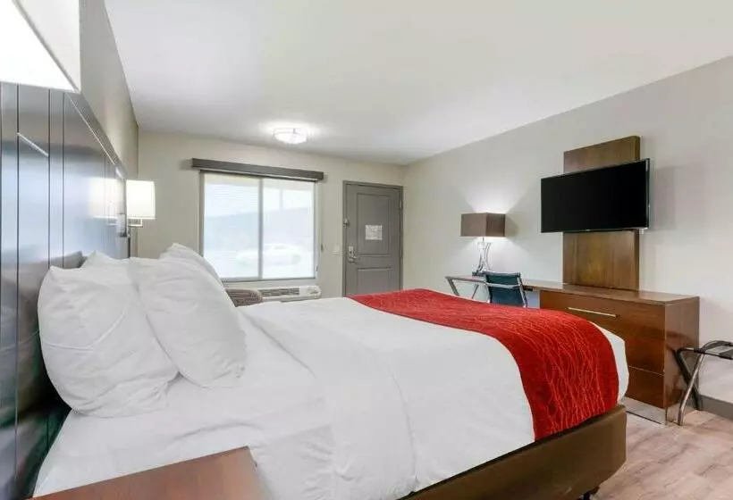 اتاق استاندارد, Comfort Inn
