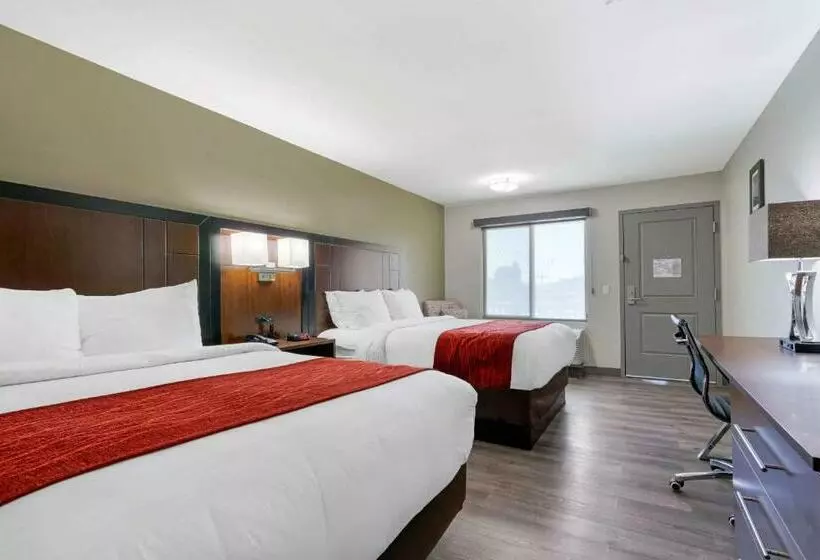 اتاق استاندارد, Comfort Inn