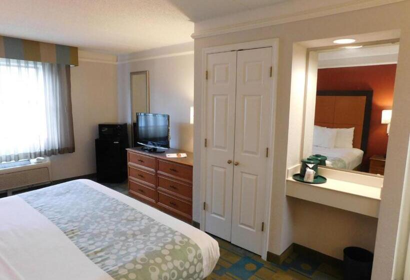 Deluxe Szoba Kind Size Bed, Days Inn & Suites By Wyndham Schaumburg  Woodfield Mall