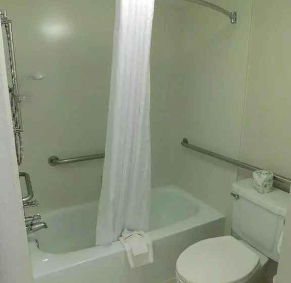 اتاق استاندارد با تخت بزرگ, Days Inn & Suites By Wyndham Schaumburg  Woodfield Mall