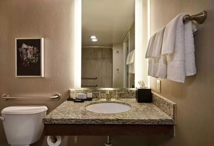سوئیت برای معلولان, Embassy Suites By Hilton Montgomery Hotel & Conference Ctr