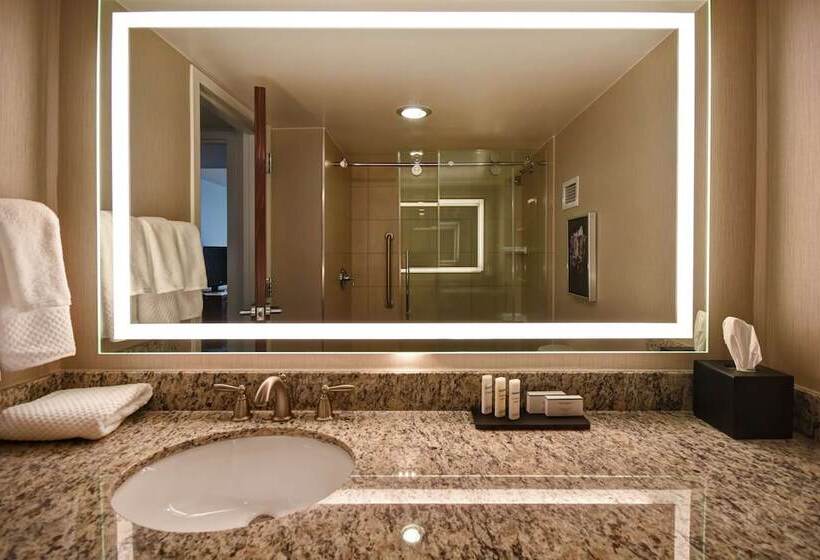 Люкс Премиум, Embassy Suites By Hilton Montgomery Hotel & Conference Ctr