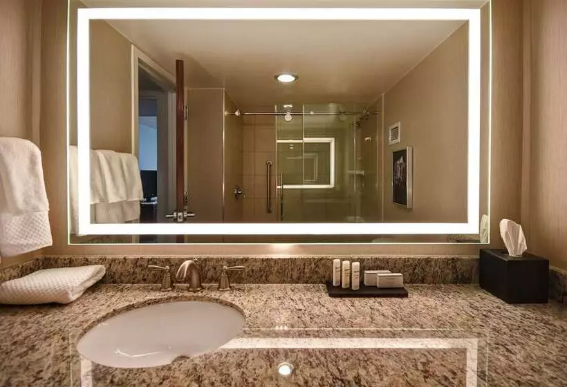 سوئیت پریمیوم, Embassy Suites By Hilton Montgomery Hotel & Conference Ctr