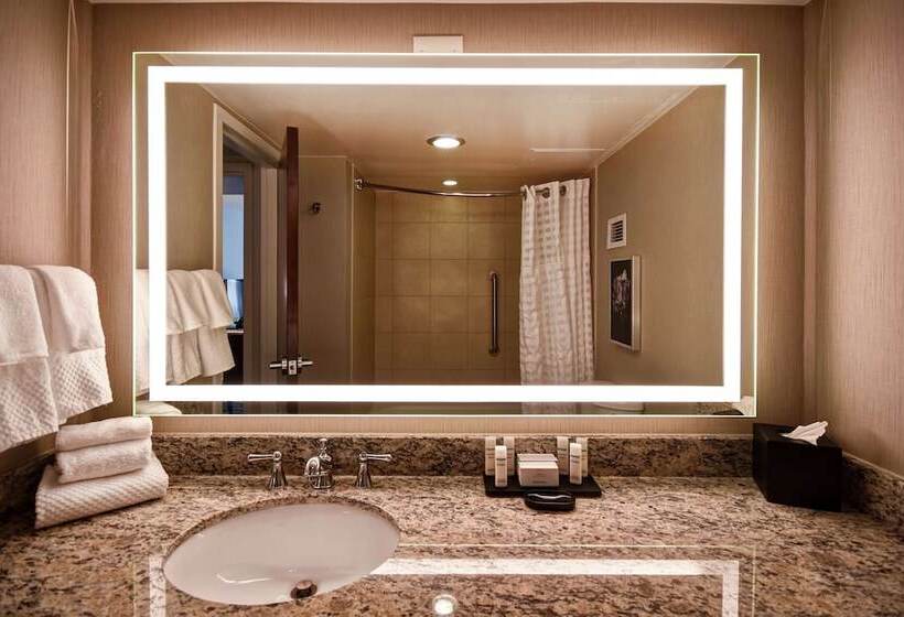 Люкс Премиум, Embassy Suites By Hilton Montgomery Hotel & Conference Ctr