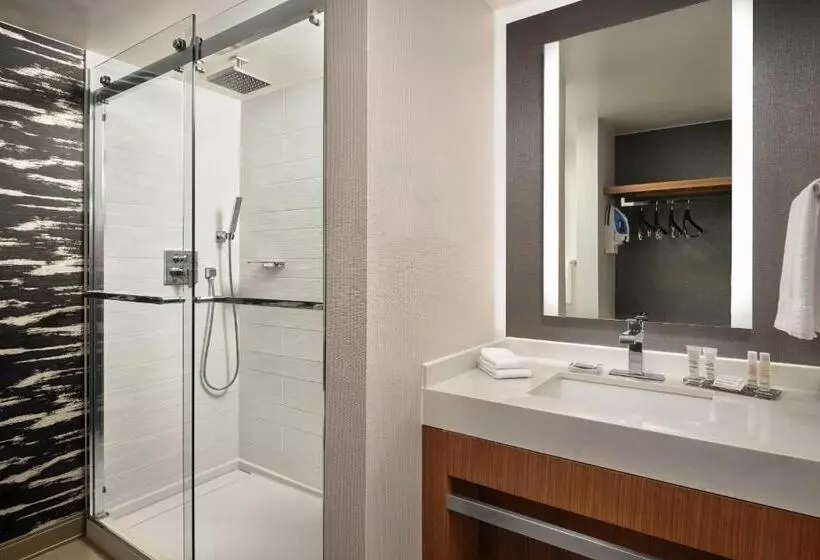 اتاق استاندارد با تخت بزرگ, Fort Collins Marriott