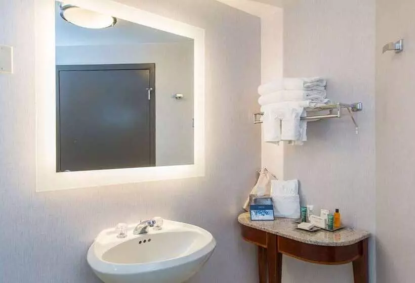 سوئیت با تخت بزرگ, Hilton Melbourne, Fl