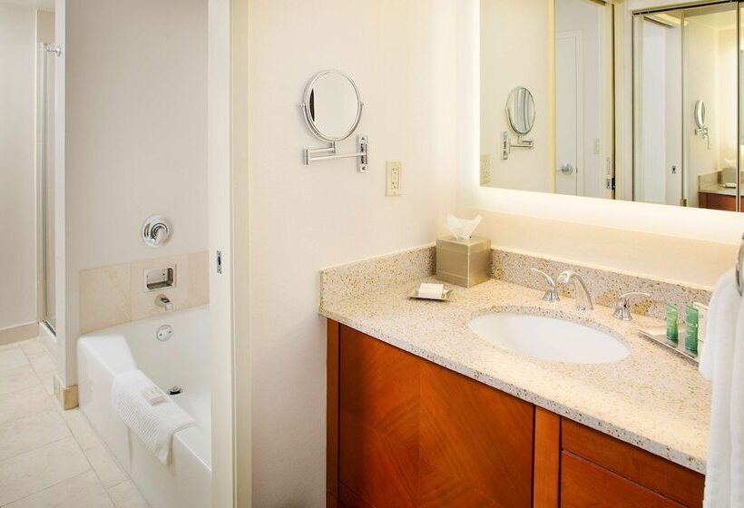 סוויטה אקזקיוטיב, Hilton Suites Atlantaperimeter