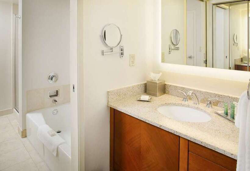סוויטה, Hilton Suites Atlantaperimeter