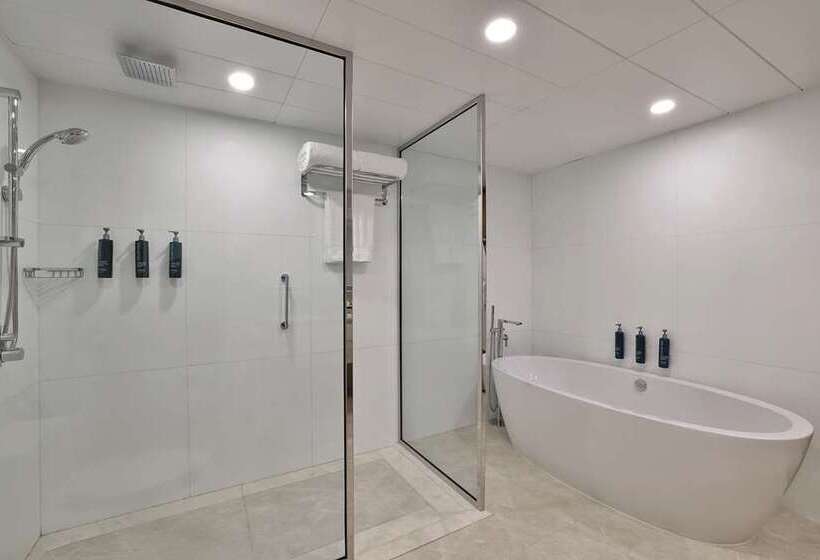סוויטה, Hilton Suites Atlantaperimeter