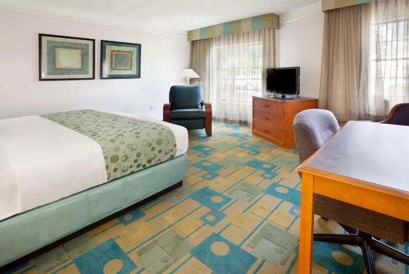 キングサイズベッドのデラックスルーム, La Quinta Inn By Wyndham Austin Oltorf